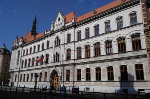 škola