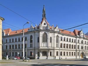 škola